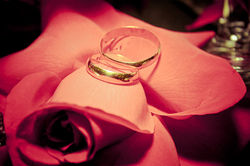 Wedding | Márcio Neves @alemdoolhar