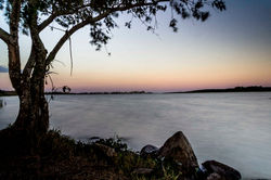 _MG_2417_02 (2)