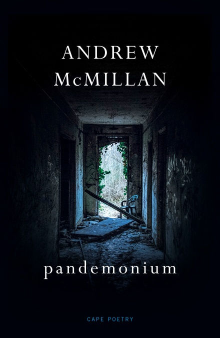 pandemonium by Andrew McMillan
