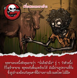 ความสามารถของตามัด.jpg