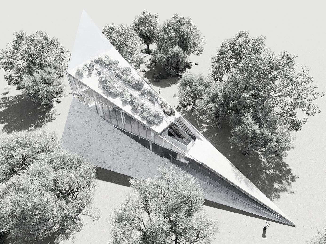 a placeholder image.