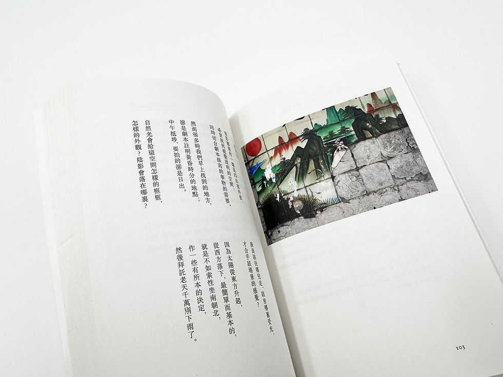 Thumbnail: WHY I AM NOT A PAINTER /  OF THE FILM 之所以我不是畫家·電影這回事