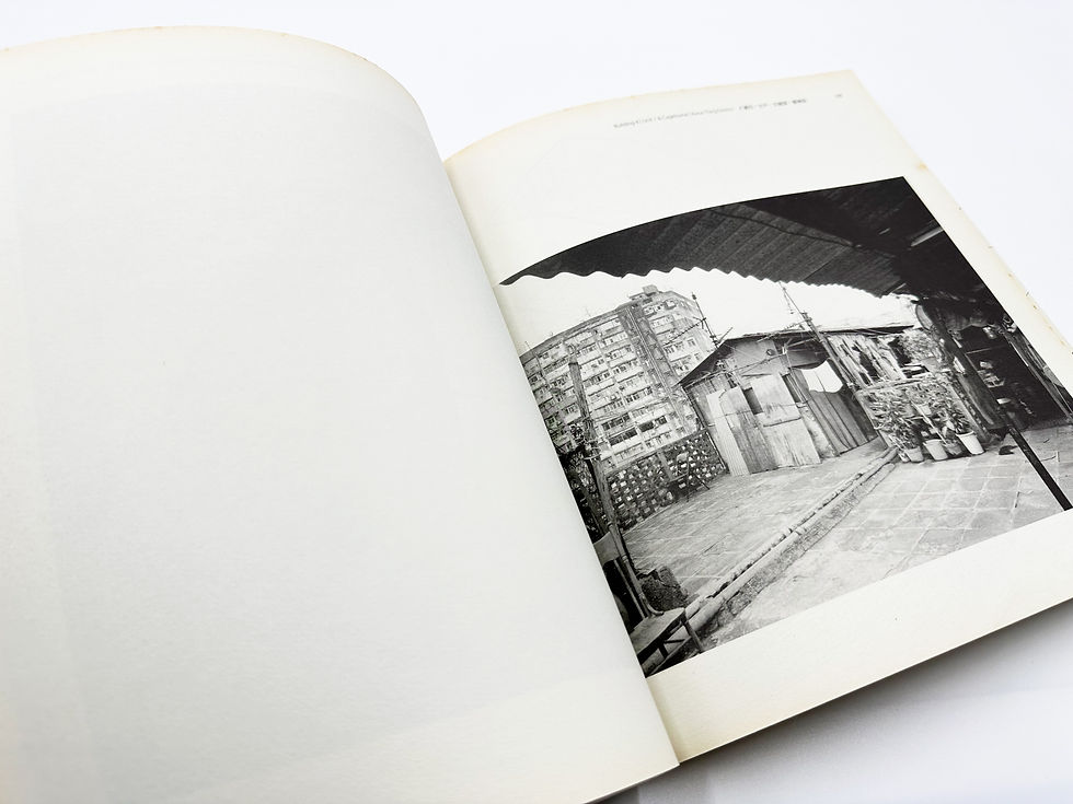 Thumbnail: Portraits From Above 樓上風光－香港天台窩