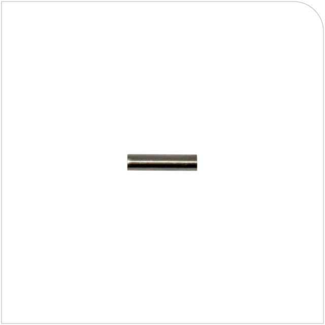 Steuermagnet für Dometic _SOG und SOG II_
