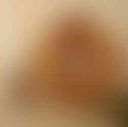 couronne d'oranges séchées Noël