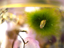 DSC00199_edited.jpg
