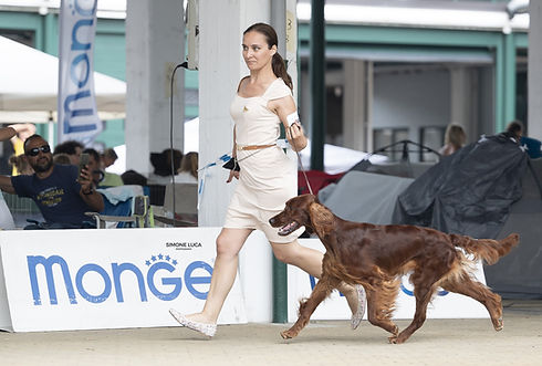 WhatsApp Image 2025-07-31 at 11.29.44.jpeg