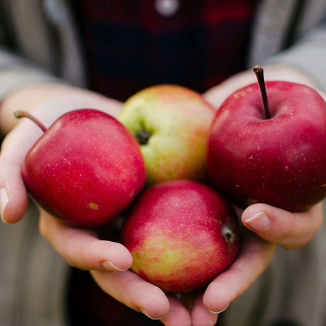 appleskin cuir de pommes