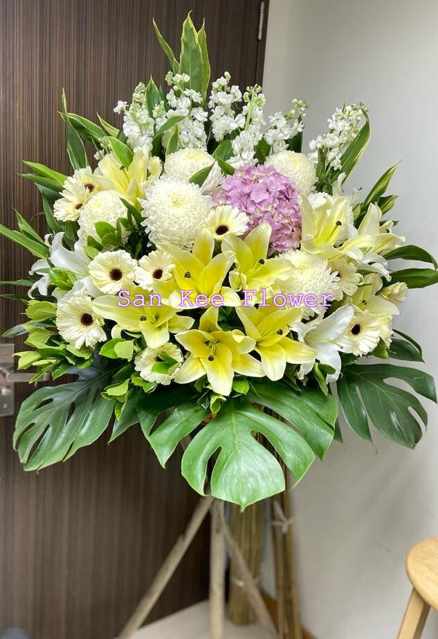 Z31 帛事花籃