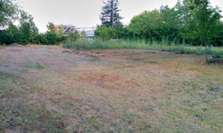 Terreno pulito