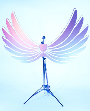 wingsprops.jpg