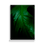 Thumbnail: An Intimate Portrait of A Monstera Plant in the Night 