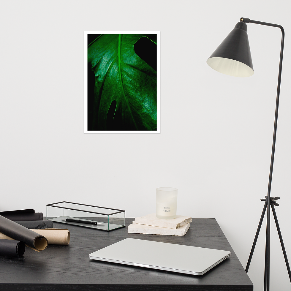 Thumbnail: An Intimate Portrait of A Monstera Plant in the Night 