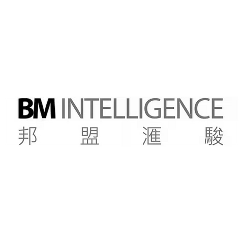 BM Intelligence