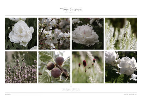 Gartenplanung & Design