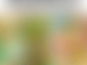 Deudas por préstamos "gota a gota" podrían rondar los ₡44 mil millones, alerta OCF