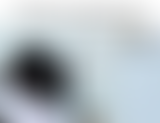 Científicas costarricenses estudiarán los mares del país en busca de microplásticos