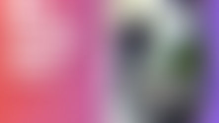 TSE prohíbe mascotas en recintos de votación