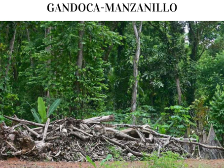 Juez cuestiona a Fiscalía en caso Gandoca-Manzanillo