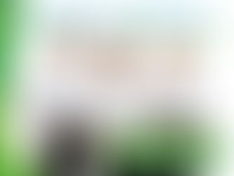 USA AYUDAS DEL IMAS PARA CAMPAÑA POLÍTICA "Xinia Espinoza Espinoza Gerente Regional IMAS"