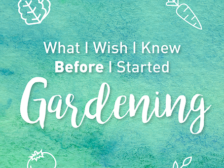 What I Wish I Knew Before I Started Gardening