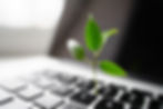 A green plant sprouts between black keyboard keys on a laptop, symbolising growth and technology. Soft lighting creates a calm mood.