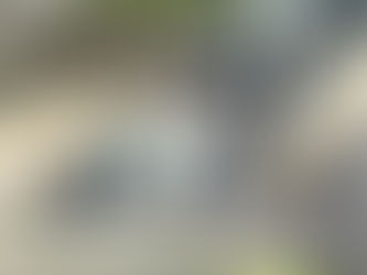 HOMBRE MATA A TIROS A TRES ASALTANTES DE COMBI.