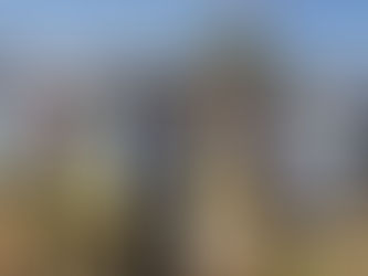 PATRULLA DE POLICIA MORELIA SE VUELCA,DEJA UNA OFICIAL HERIDA.