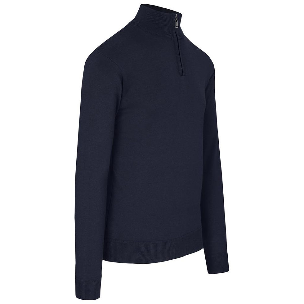 Thumbnail: Altitude Mens 1/4 Zip Quantum Low Pill Jersey