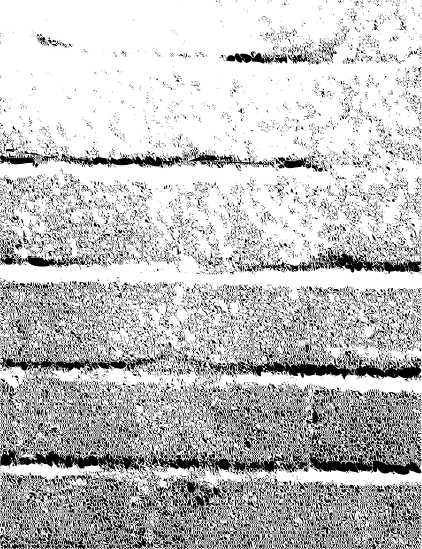 Wall-textures.gif