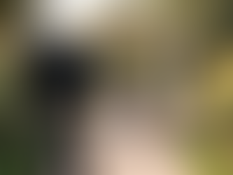 Exploring San Angelo Wedding Vendors - Wedding Vendor Planning Tips