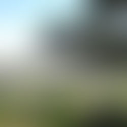 Fowler Kansas Cemetery