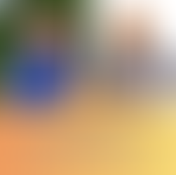 Panelists for Trash the Rule Book: Decluttering Your Way