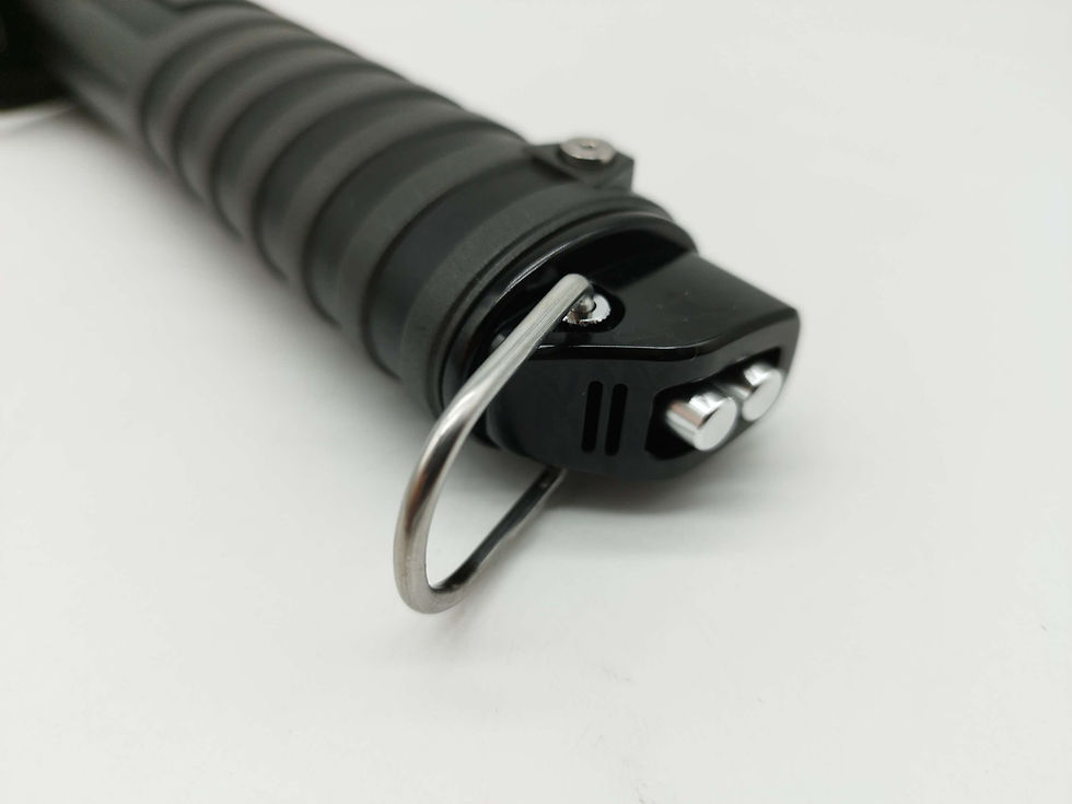Miniature : EKO 60-1 SABRE NOIR NEOPIXEL