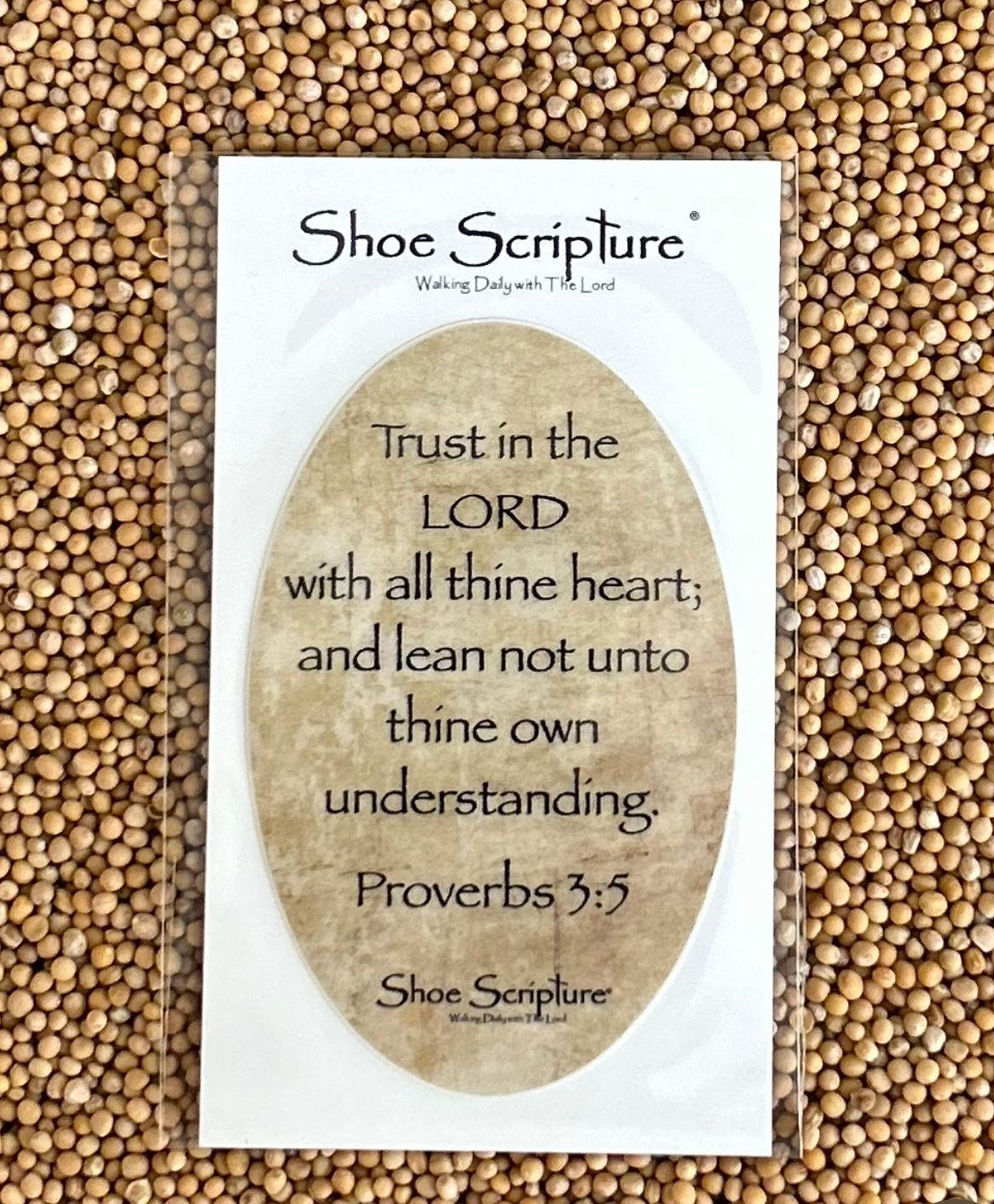 Proverbs 3:5 Shoe Scripture