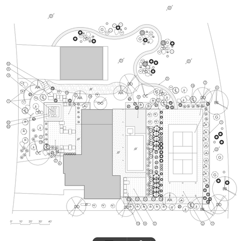 Black & White Landscaping Layout plant
