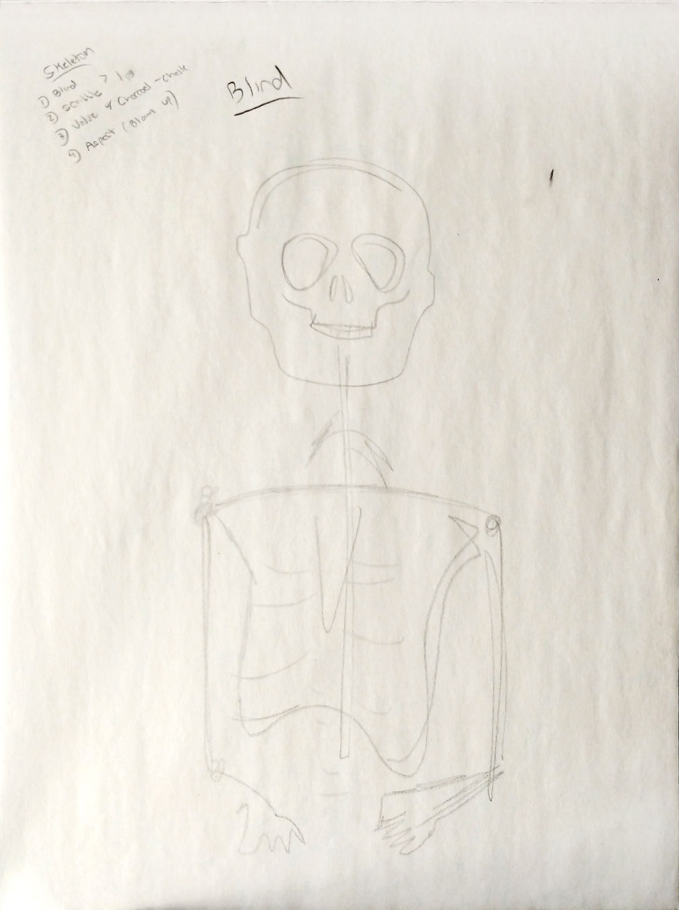 Skeleton, Blind Contour