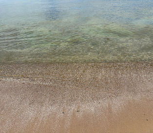 WhatsApp Image 2025-09-01 at 3.24.06 PM.jpeg