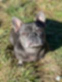 IMG_3080.JPEG
