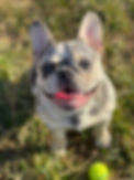 IMG_3237.JPEG