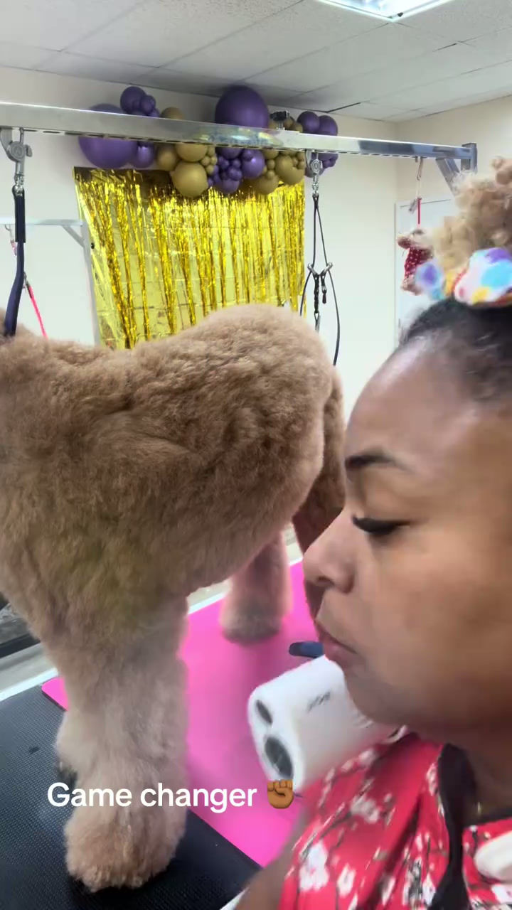 Thumbnail: ADB Petite Automatic Dog Brush