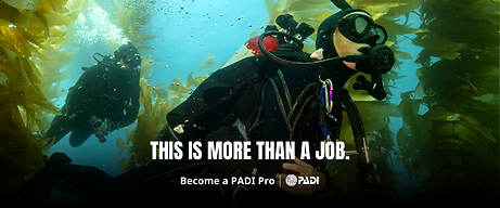 Career Change Seekers.png