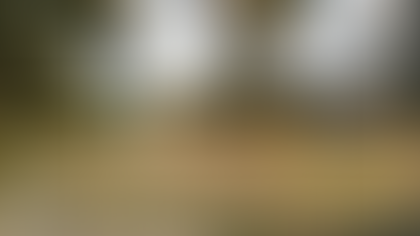 Leopold Park Community Garden 10th Anniversary Party