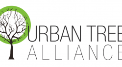 2026 Tree Guardians Program