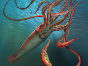 Giant Squids: Monsters of the Deep