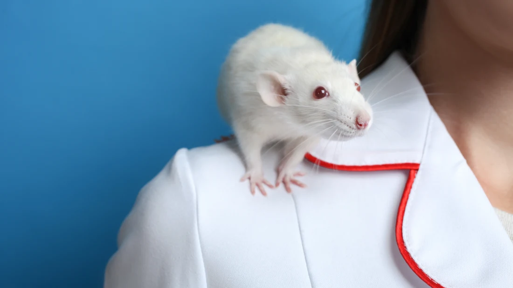 Lab Rats Unsung Heroes of Science