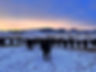D36A4C91-4F42-48BA-B4C7-31B3A8658D01.jpeg