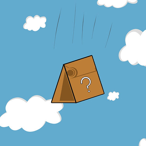 Mystery bag new.jpeg