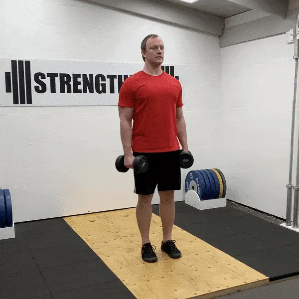 GIF of man doing side dumbbell lateral raises at gym to train lateral head of shoulders