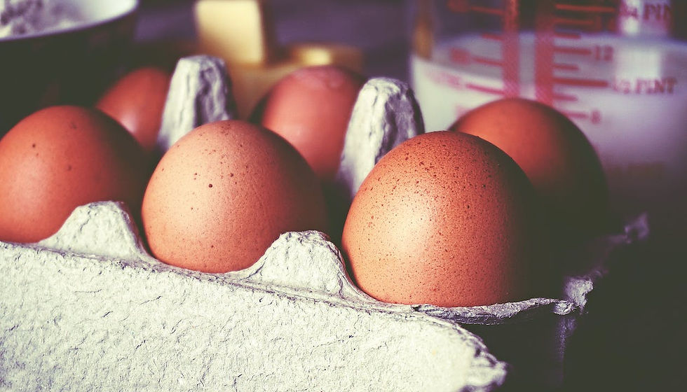 6 whole eggs in an egg box